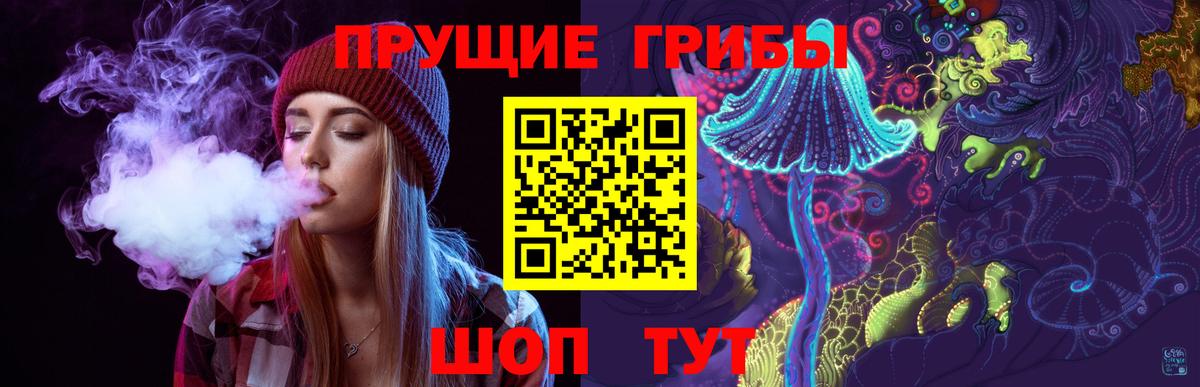 Псилоцибиновые грибы Psilocybine cubensis  Галлюциногенные грибы прущие грибы  Вход с VPN  Серпухов 
