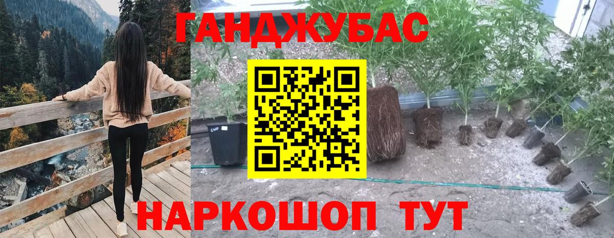 МАРИХУАНА семена Серпухов